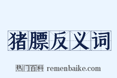 猪膘反义词是什么意思的图片